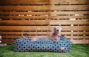 How to Choose the Right Bedding for Your Pet